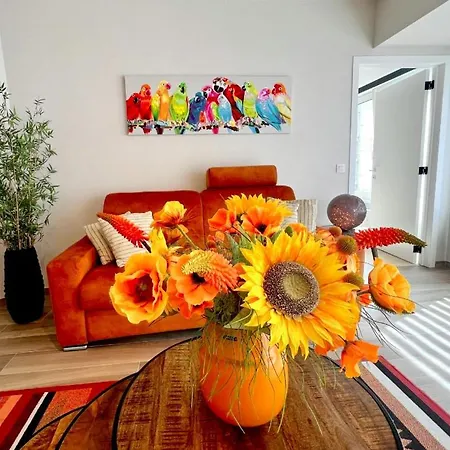 Belverdi & Appartement *